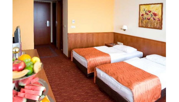 Airport Hotel Budapest poza 9