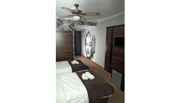 Poza pentru Green Hotel Budapest 133-1473283814 Green Hotel Budapest poza 13