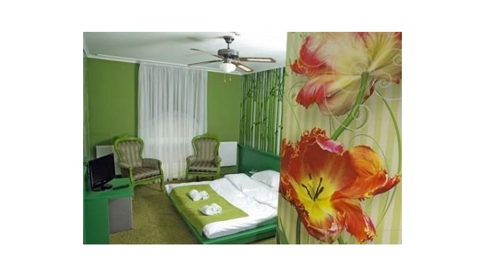 Poza pentru Green Hotel Budapest 144-1473283814 Green Hotel Budapest poza 12