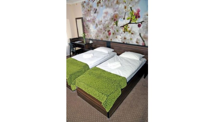 Poza pentru Green Hotel Budapest 225-1473283811 Green Hotel Budapest poza 8
