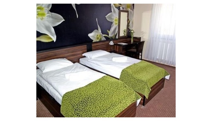 Poza pentru Green Hotel Budapest 345-1473283809 Green Hotel Budapest poza 6