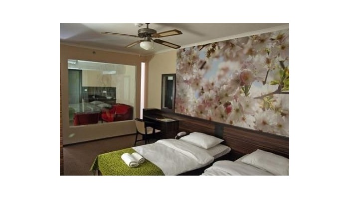 Poza pentru Green Hotel Budapest 630-1473283813 Green Hotel Budapest poza 11