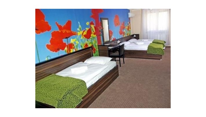 Poza pentru Green Hotel Budapest 698-1473283808 Green Hotel Budapest poza 4