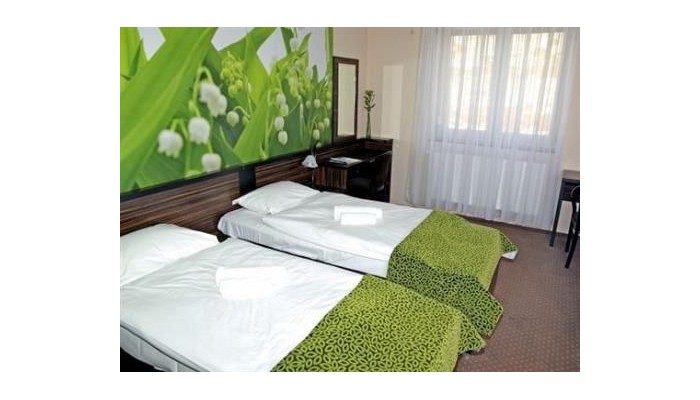 Poza pentru Green Hotel Budapest 73-1473283808 Green Hotel Budapest poza 5