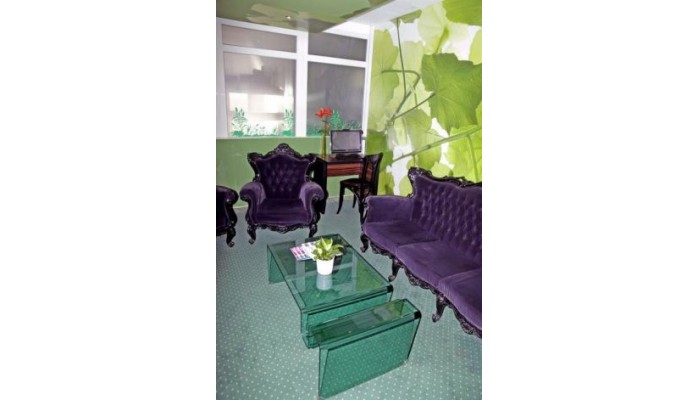 Poza pentru Green Hotel Budapest 829-1473283806 Green Hotel Budapest poza 2