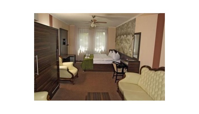 Poza pentru Green Hotel Budapest 885-1473283816 Green Hotel Budapest poza 16