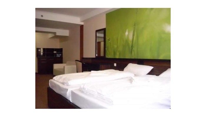 Poza pentru Green Hotel Budapest 973-1473283807 Green Hotel Budapest poza 3