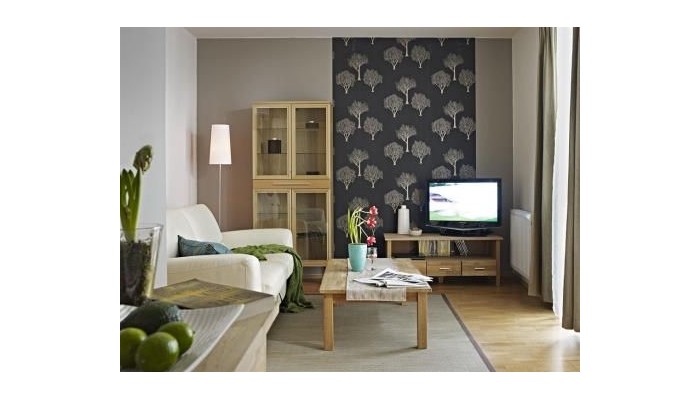 7seasons Apartments Budapest poza 14