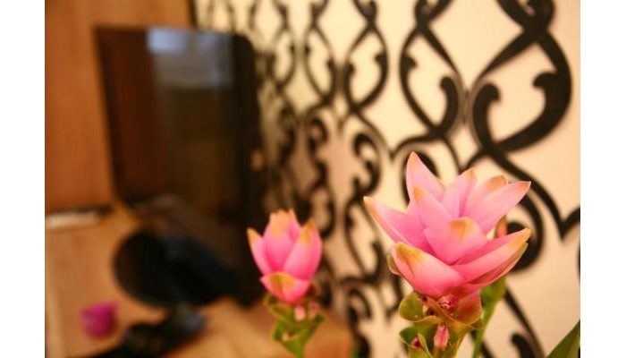 Akacfa Holidays Apartments poza 9