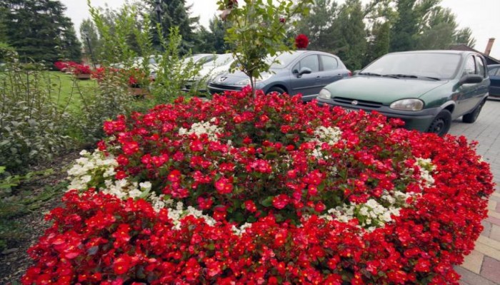 Hotel Alfa Art poza 36