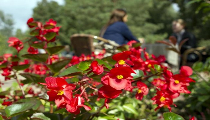 Hotel Alfa Art poza 32