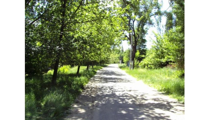 Hotel Alfa Art poza 3