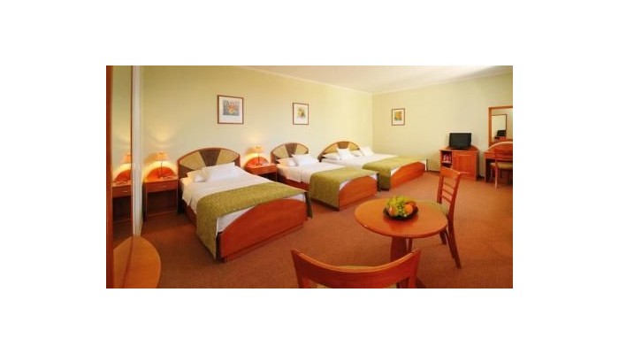 Poza pentru Hotel Baross City 547-1473284304 Hotel Baross City poza 6