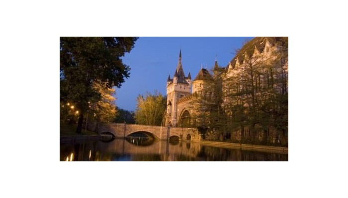 Hotel Corvin poza 29