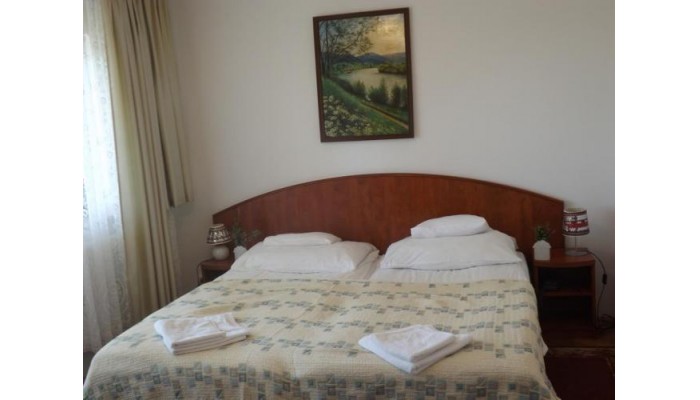 Hotel Helios Panzio poza 14