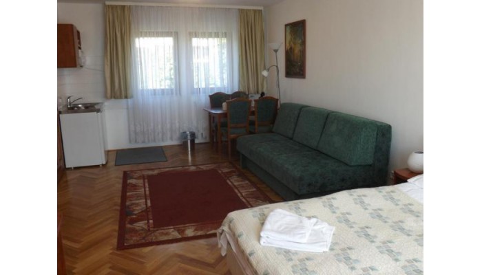 Hotel Helios Panzio poza 16