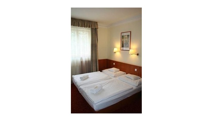 Poza pentru Hotel Korona Panzio 710-1473282952 Hotel Korona Panzio poza 7