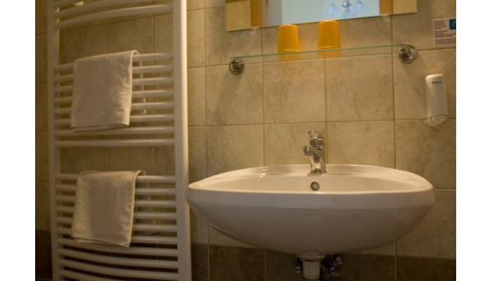 Hotel Papillon poza 17