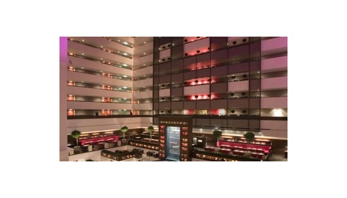 Hotel Sofitel Budapest Chain Bridge poza 3