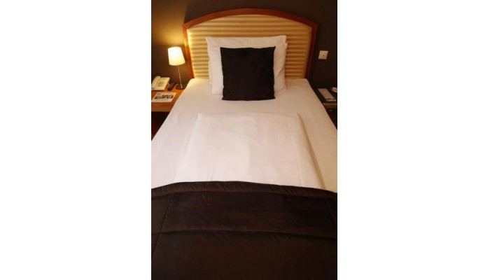 Poza pentru Six Inn Hotel Budapest 904-1491576498 Six Inn Hotel Budapest poza 16